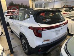 کیا سێلتۆس